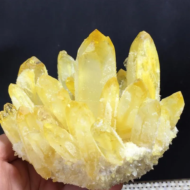 Nouveau trouver un spécimen minéral de grappe de cristal de Quartz fantôme jaune guérison 227g