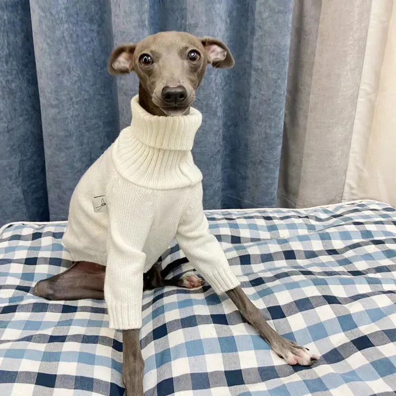 Dog Apparel Italian Greyhound Sweater Whippet Turtleneck White Knitted Warm Pet Clothing 231213