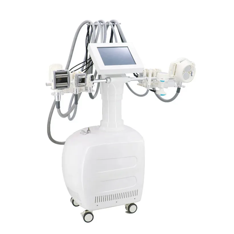 Machine Laser portable, rouleau sous vide frais, réduction de la graisse, Machine Laser Lipo, réduction du poids, réduction de la liposution