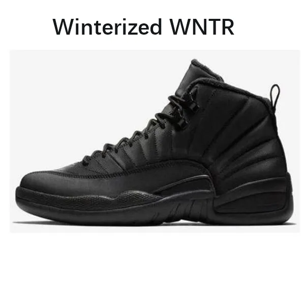 Dhgate jordan sales 12
