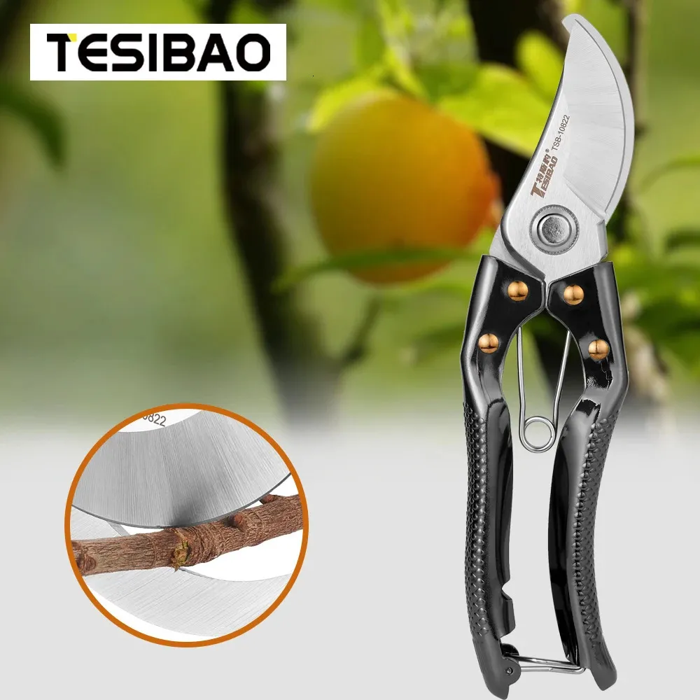 Narzędzia do przycinania wysokiej jakości nożyczki gałąź gałęzi ogrodu Bonsai Tool 231215