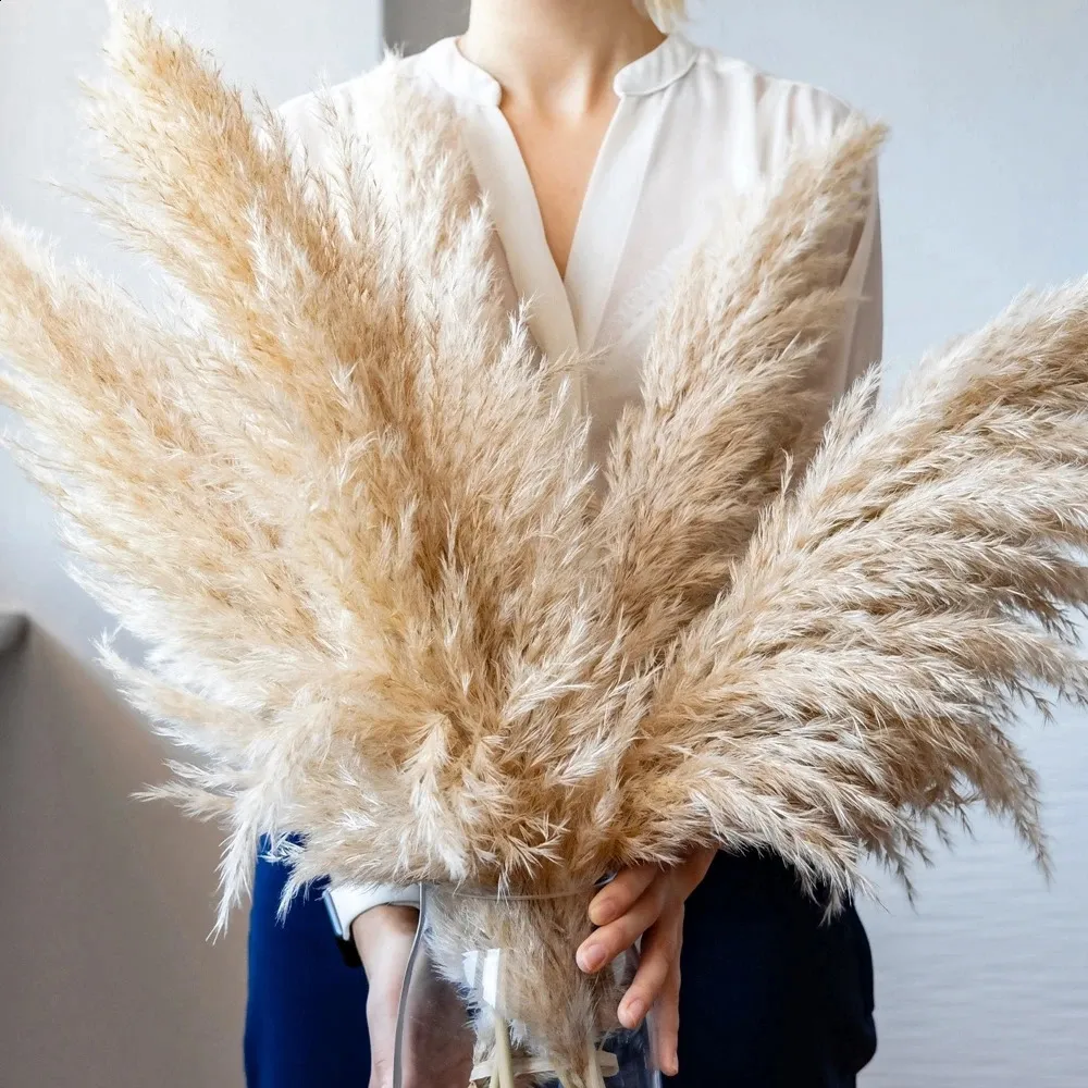 Dekoracyjne kwiaty wieńce Naturalne 90-120 cm Pampas Prairie Zagima biała szara sucha sucha bukiet Fluffy Filfy Bohemian Decoration Wedding Flower Dekoracja 231214