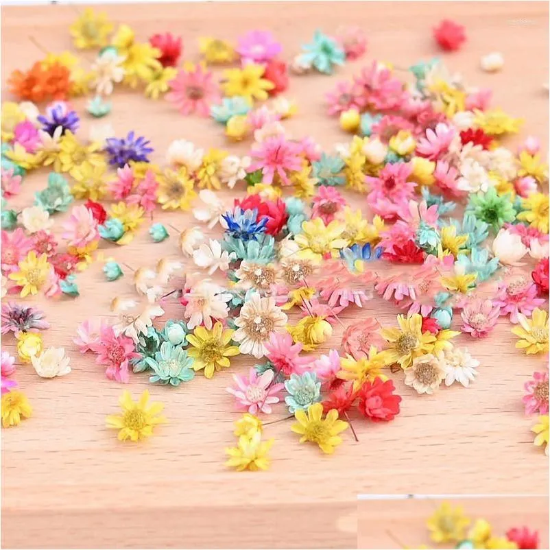 Flores decorativas Guirnaldas Venta al por mayor 50 g / lote Plantas de margarita de cabeza de flor seca para resina epoxi Collar colgante Fabricación de joyas Artesanía Dhtqj