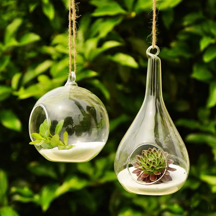 Tenture murale en verre terrariums planteur vase à fleurs oblat terrariums globe en verre support de pot de plante d'air pour la décoration de Noël à la maison idée cadeau