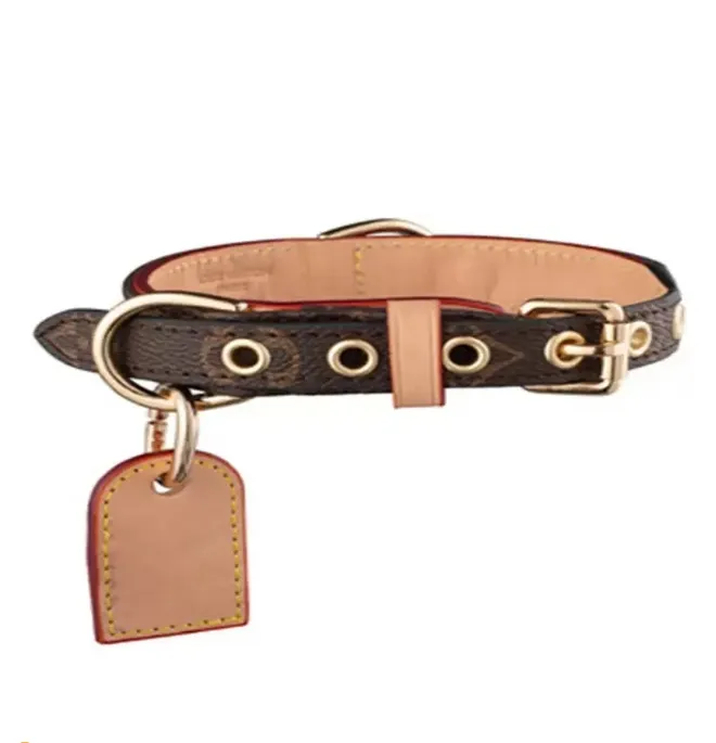Custom Luxury Leather Fashion Dog Collar And Leash Set With Classic
