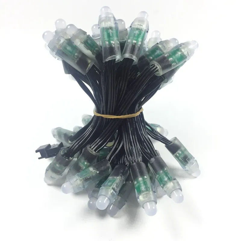 DC12V WS2811 bullet pixel LED Modules 100ct BLACK wire 18awg with Ray wu/paul zhang/xconnect connector