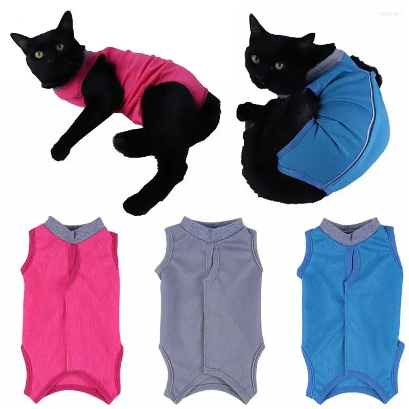Costumi per gatti Pullover facile da indossare Abiti per il recupero Tuta per sterilizzazione regolabile per post-