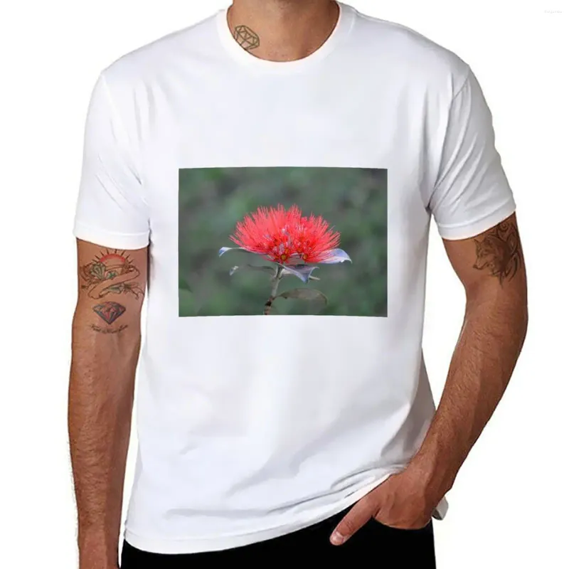 Herrpolos Pohutukawa Red Flower - Zeeland Christmas Tree T -shirt Kort ärm Mens T -shirt