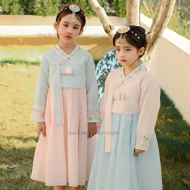 民族服2023伝統的な韓国の女の子ハンボック刺繍フルスリーブ古代ダンスコスチュームステージパフォーマンスレトロコートドレス