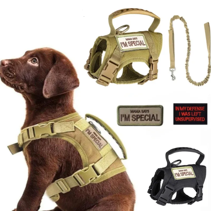 Pet vest harness hotsell