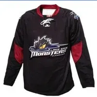 Men Youth women Vintage hockey Customize AHL Cleveland Lake Erie Monsters Hockey Jersey Size S-5XL orr custom any name or number2754