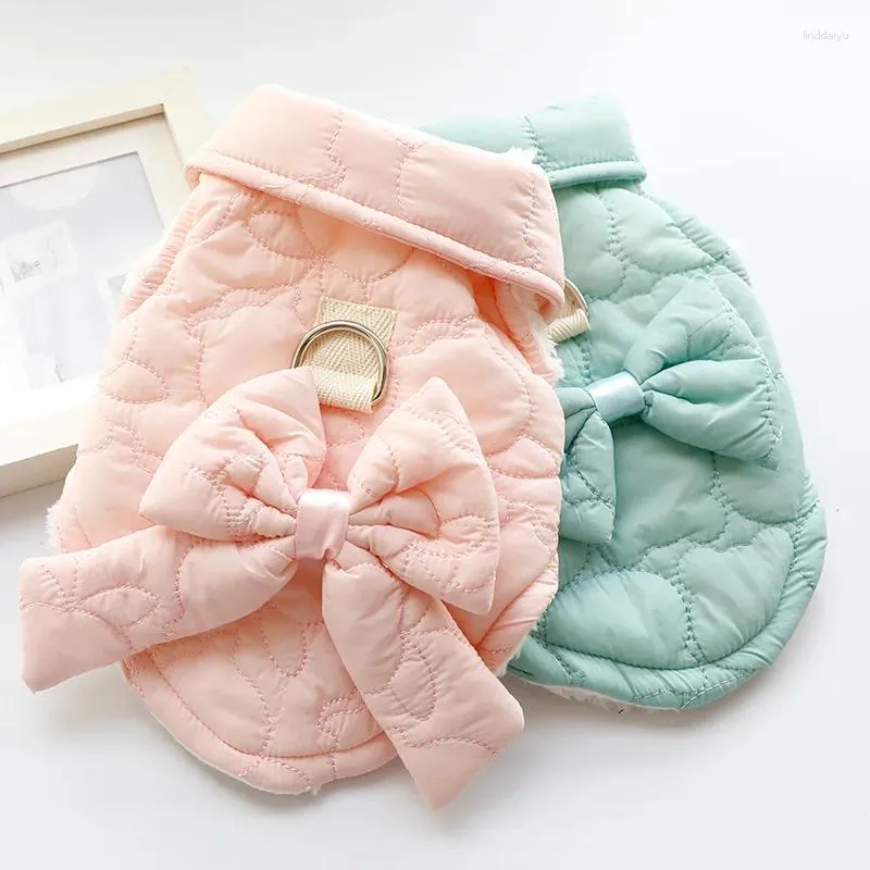 Vêtements de vêtements pour chiens automne chat hiver princesse coton gilet rose rose bleu arc remorable temps de gain chaud animal de compagnie