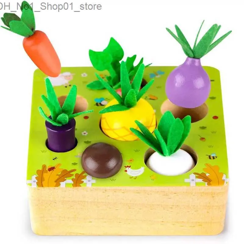 Sorting Nesting Stacking toys Montessori Toys for Baby Boys Girls1 2 3 Years Educational Wooden Puzzle Carrot Harvest Game Shape Gift Toddler Q231218