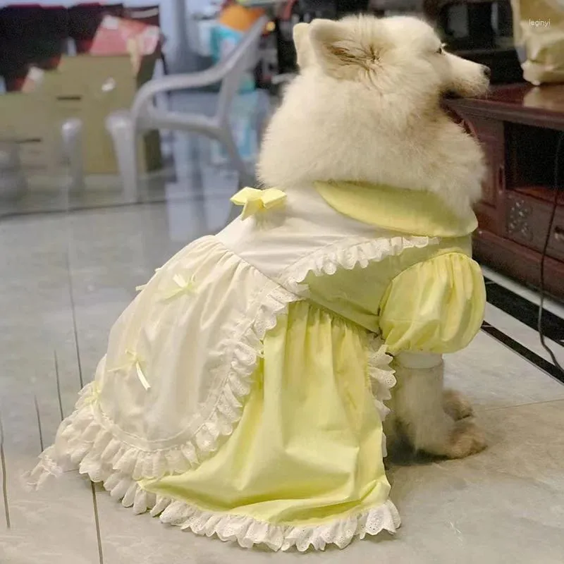 Hundkläder söt stor klänning sommar stor kjol husdjur kläder för hundar labrador gyllene retriever samoyed piga