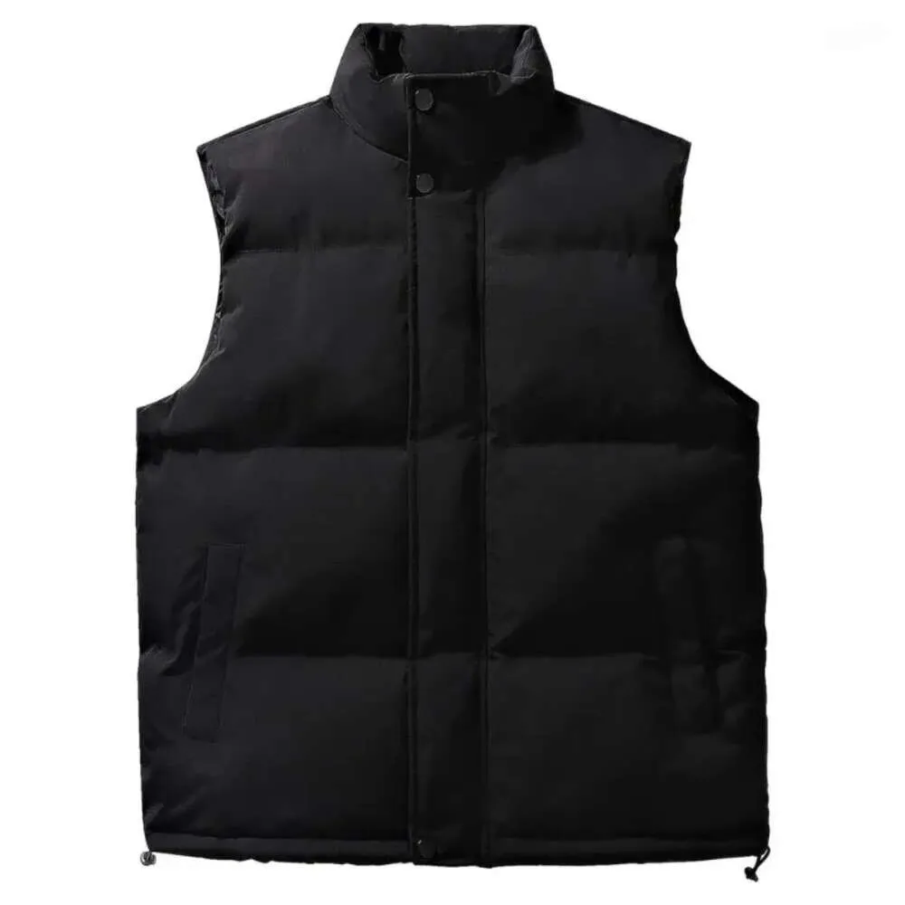 Gilets pour hommes hommes épaissi gilet veste Veet doux hiver coupe-vent col montant avec poches épais rembourré pour la météo