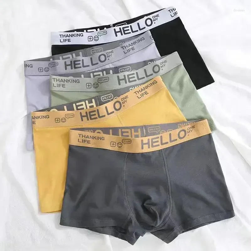 Calzoncillos 4xl cheap