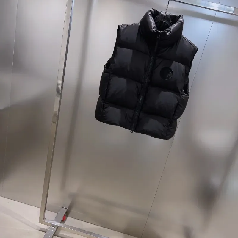 Gilet da donna 2023 Autunno/Inverno Nero Ricamato Collo in piedi Doppia tasca Allentato a forma di H Piumino Gilet Donna Cappotto