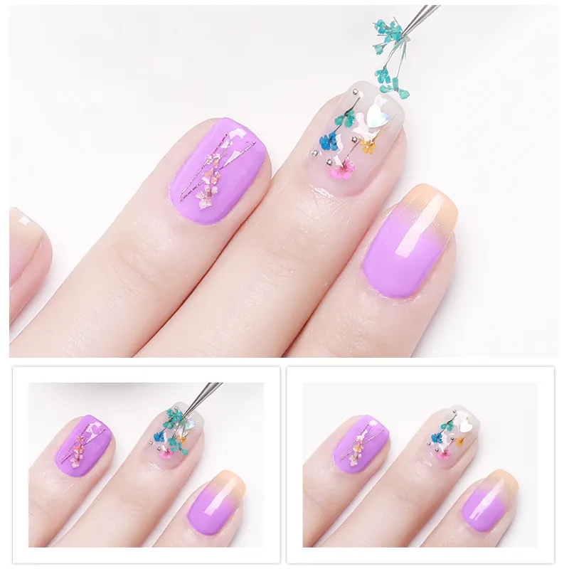 dried flowers nail decorations natural floral