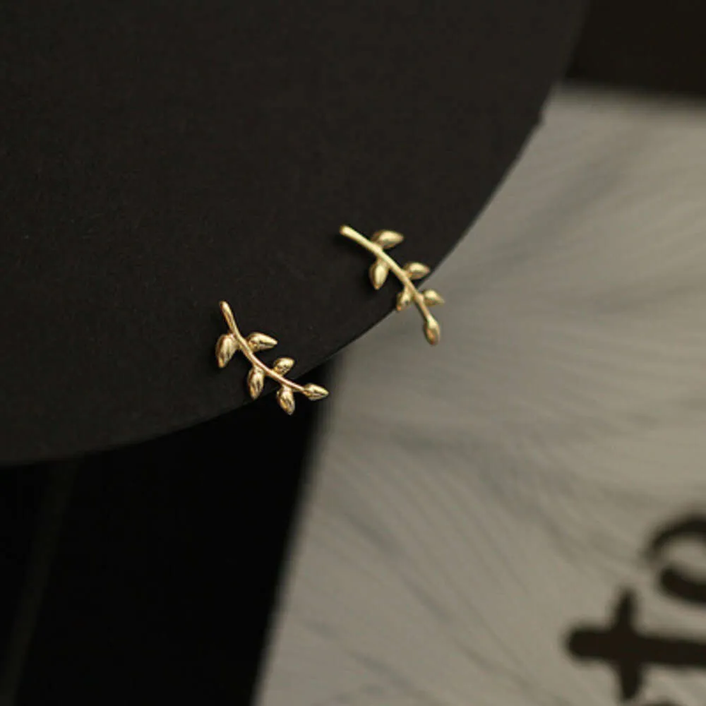 Sterling Sier stile europeo oro 14k per donne semplici orecchini a foglia di ramo d'ulivo dolci e carini gioielli per studenti