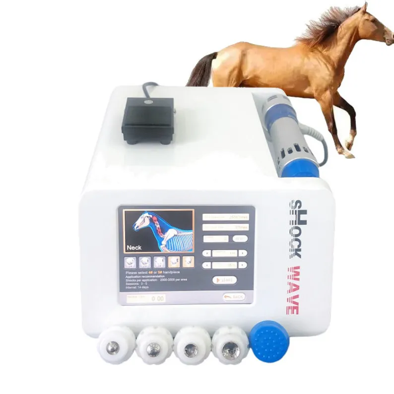 Portable Eswt Shock Wave Machine Shockwave Use In Equine Practice Animal Therapy For Horses