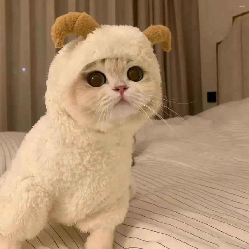 Combinaison bébé hiver chat en polaire et coton à capuche