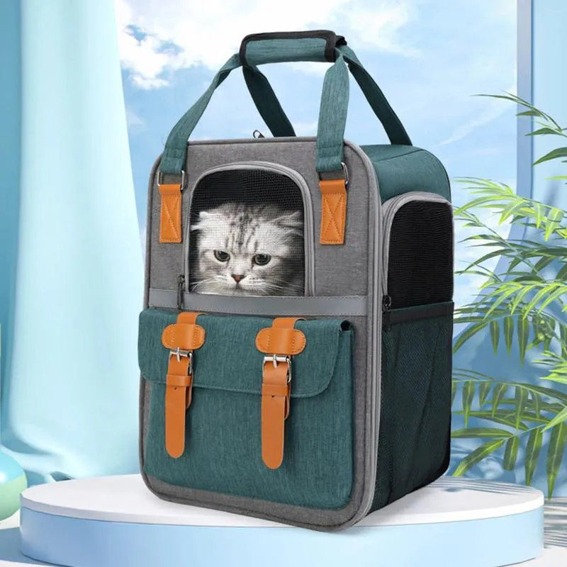 Trasportino per cani Borsa per animali portatile Zaini per gatti traspiranti Zaino leggero e spazioso per esterni per cani di piccola taglia e media