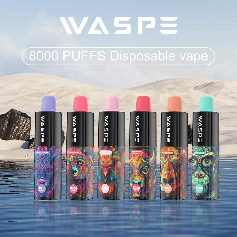 Waspe vente chaude vape jetable desechable 8000 bouffées vape pod stylo batterie rechargeable cigarette électronique vaper