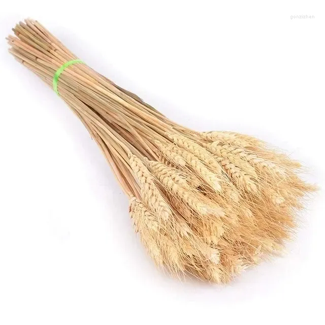 Decorative Flowers 50PCS Dried Wheat Ear Flower Natural For Wedding Party Decoration DIY Craft Outdoor Artificial