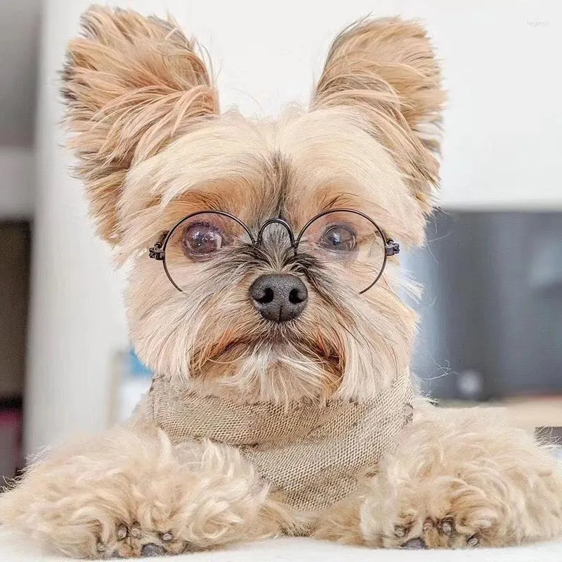 Schnauzer bandana cheap