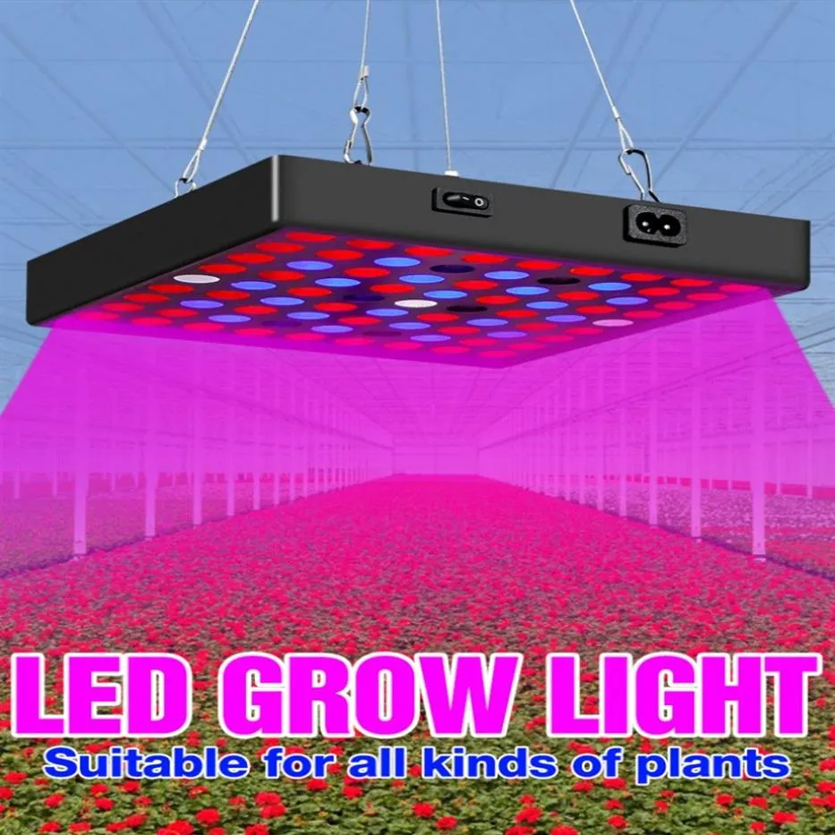 LED Grow Light 2000W 3000W Full Spectrum Greenhouse Phytolamp LED Plant Lighting215j