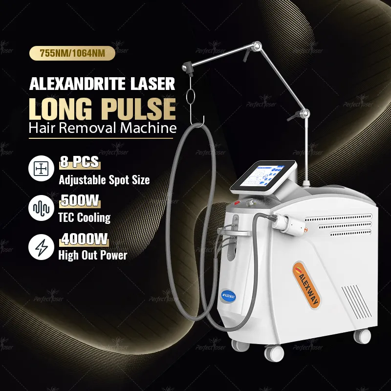 Kostnadseffektiv Alexandrite Laser Long Pulse Hair Removal Machine ND YAG LASER 2 våglängd Gratis frakt