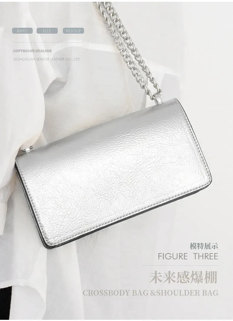 Wallet shoulder bag／ミニポーチ付／silver Mini Crossbody Bags for Women, Silver Evening Bags for Women