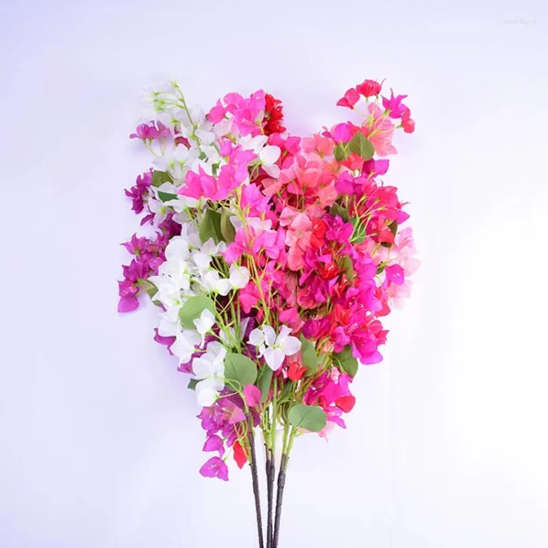 Fleurs décoratives Bougainvillea peut être utilisée pour les étapes de mariage à la maison des décorations florales, etc.