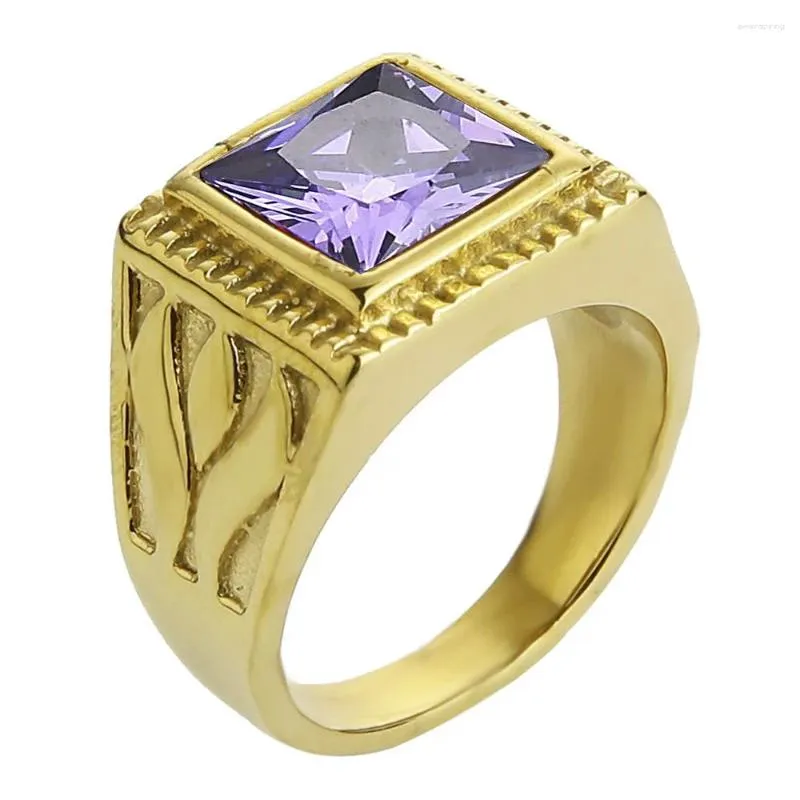 Pierścienie klastra Edglifu Męskie sygnet Purple Stone Ring Pierścień ze stali nierdzewnej Gold Kolor Square Band dla mężczyzn Kobiety