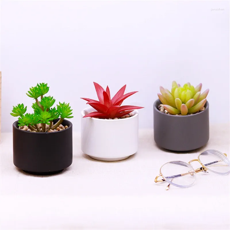 Decorative Flowers Simulated Succulent Plant Fei Huayu Ruiyun Ornamental Bonsai Color Artificial Potted