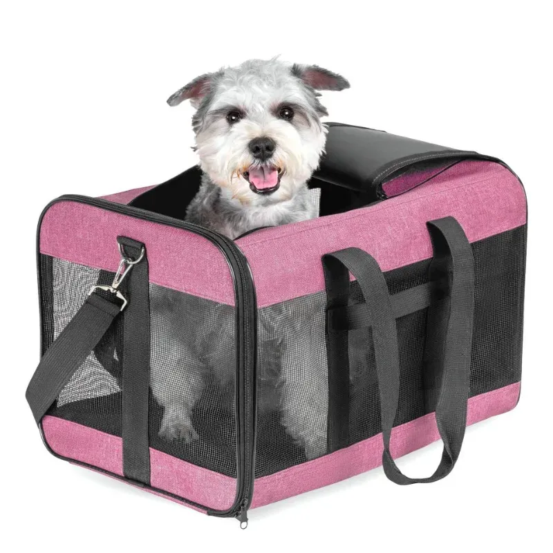 Cat and Dog Summer Breatble Carry Bag Cat Pet Cat Ryggsäck Pet Transport Ryggsäck 231221