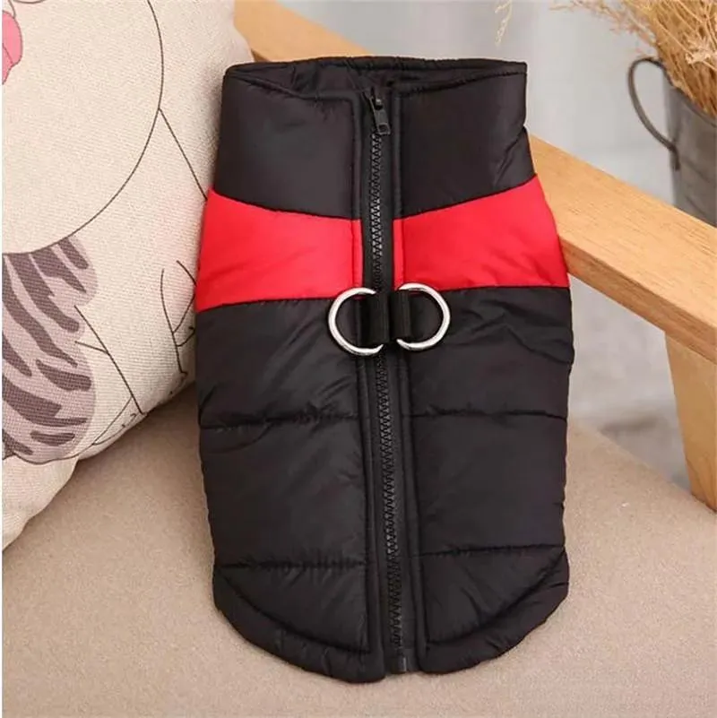 Abbigliamento Gilet caldo per cani Abbigliamento Gilet per cani da compagnia Cappotti con guinzagli Anelli Vestiti per cani