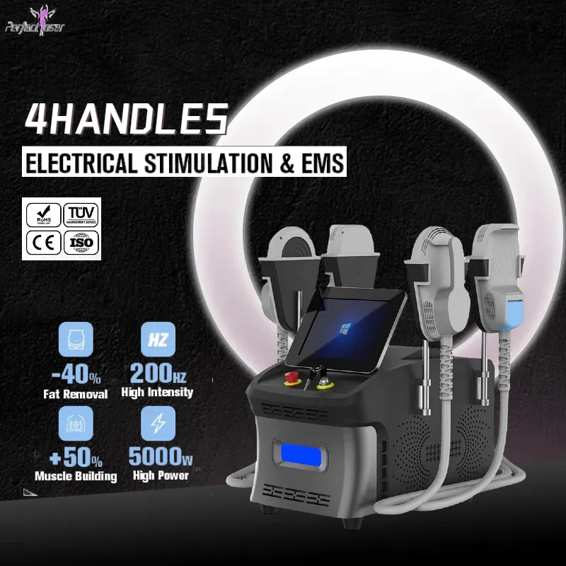 EMS Abdominal Muscle Stimulator Emslim RF Fat Burning Skin Tightening Machine 5000W 14 Tesla Hiemt Building Muscle Body Sculpting Machine Weight Loss Device