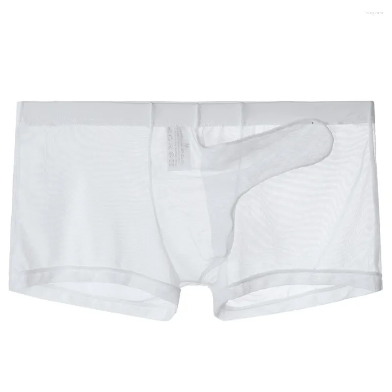 Onderbroeken Sexy Mannen Olifant Neus Heren String Dunne Pure Ondergoed Transparant Ultradunne See Through Boxer Zachte Slips Mesh Slipje