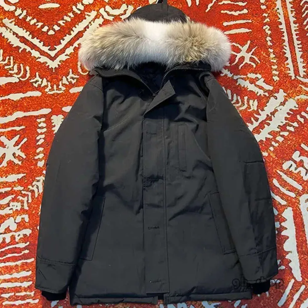 Canda Kaz Ceket En Kalite Siyah Rozet Aşağı Erkek Parkas Ceket Kürk Kürklü Üst Kat Tomurcuk Boyutu Windbreaker Sıcak Erkekler 5232 2181