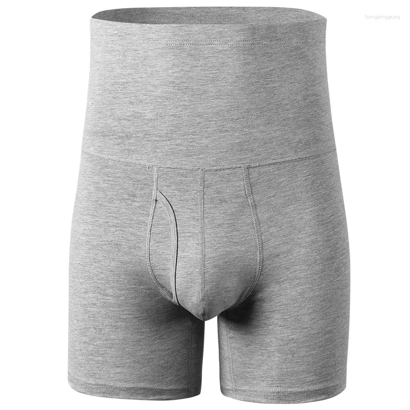 Underpants Men's Panties Large Size Thermal Underwear Men Cotton Shorts Boxers Man High Waist Warm Boxershorts Mens Long Boxer For