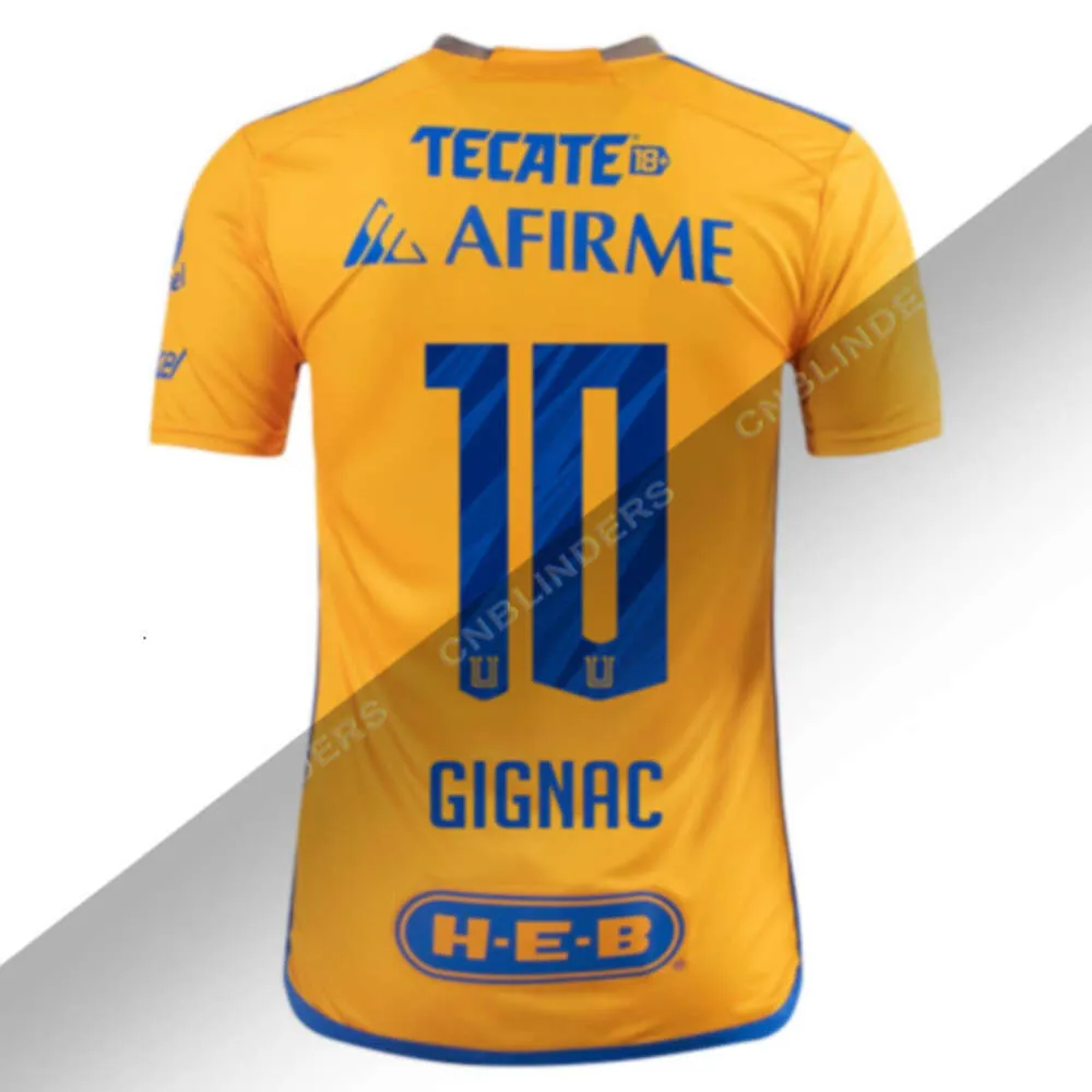 2024 Camiseta De Futbol Tigres Uanl Gignac 24 25 Home Away Third Soccer Jersey Liga MX Kids Football Kit Nicolas Ibanez Diego Lainez Sebastian Cordova Guido Pizarro From 13 3 DHgate
