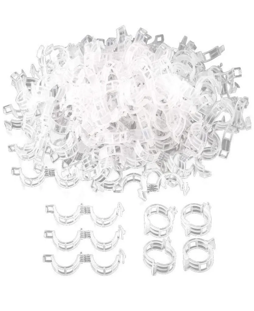 Altre forniture da giardino da 1 pollice di diametro 500pcs Pianta di supporto per pianta clip di pomodoro bianco Clips per verdure di vite per coltivare Upri6778510