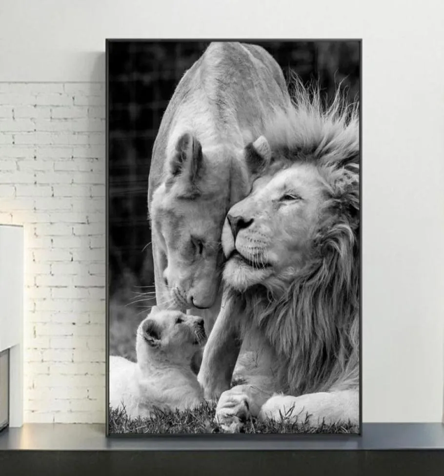 African Lions Family Black and White Canvas Art Affischer trycker djur målningar på väggbilderna heminredning3534715