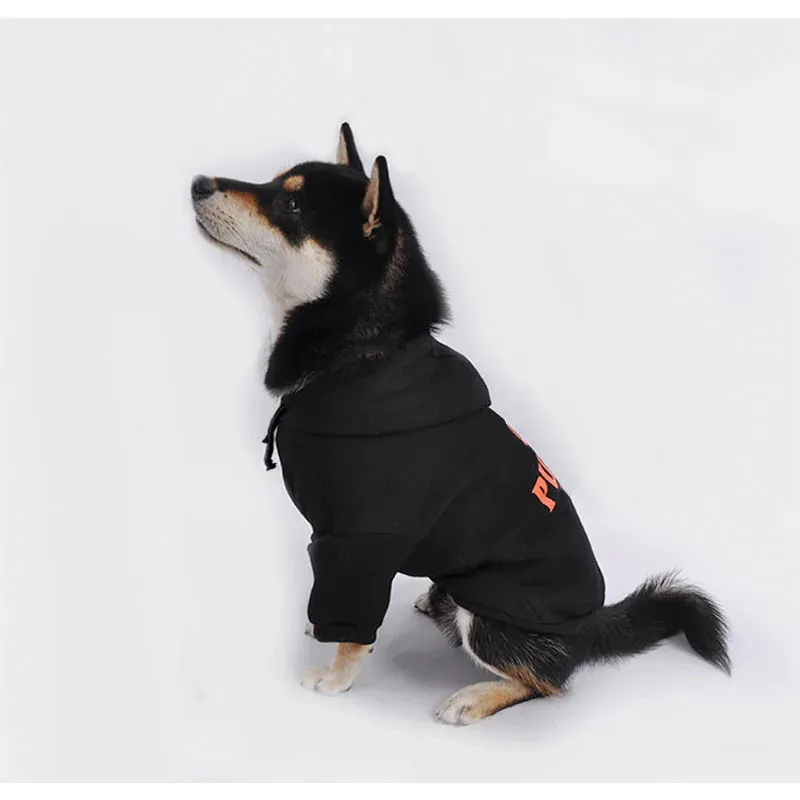 Schnauzer Hoodeis mode Chihuahua hoodie Yorkies pug kostuum pup trui PC1111 231221