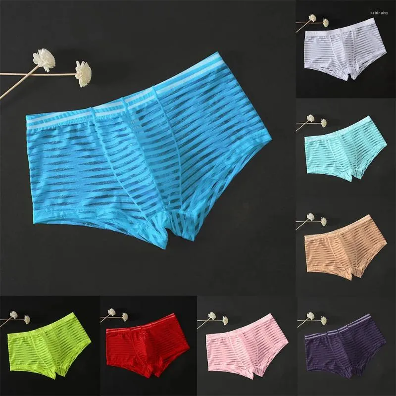 Underpants Man Sexy Boxer Shorts Panties Low Rise Stripe Bodysuit Trunk Pant Men's Underwear Transparent Briefs