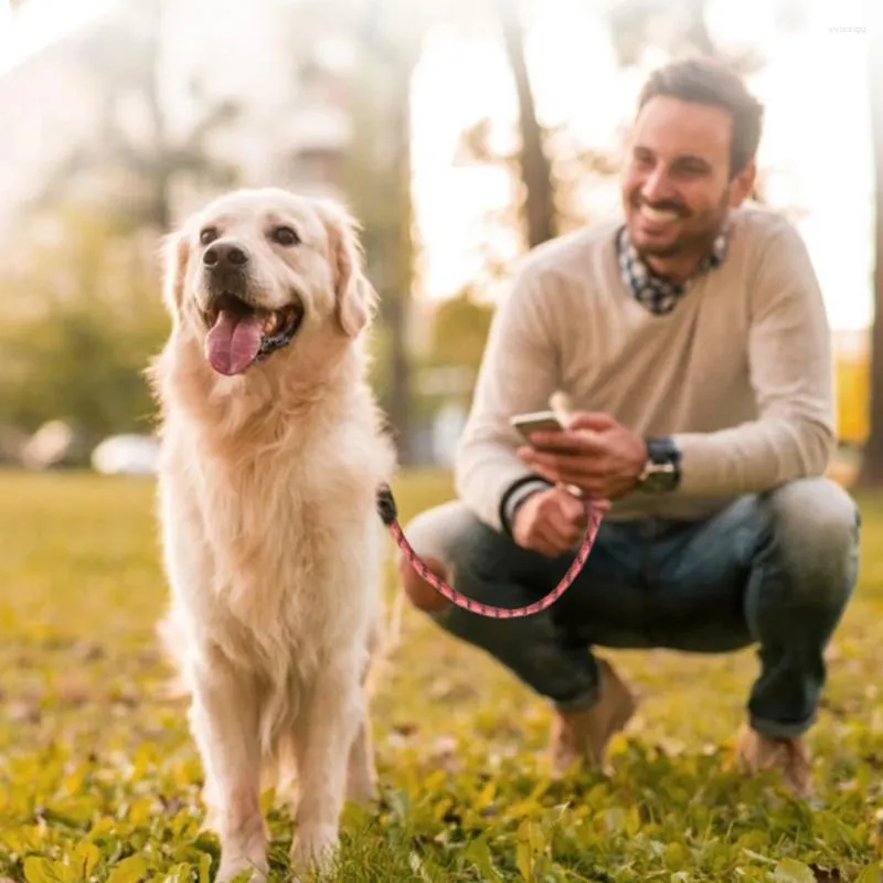 Colliers de chien sweet nylon mains libres laisse en laisse à l'usure résistante à une corde de traction de la sécurité de la sécurité des produits pour animaux de compagnie