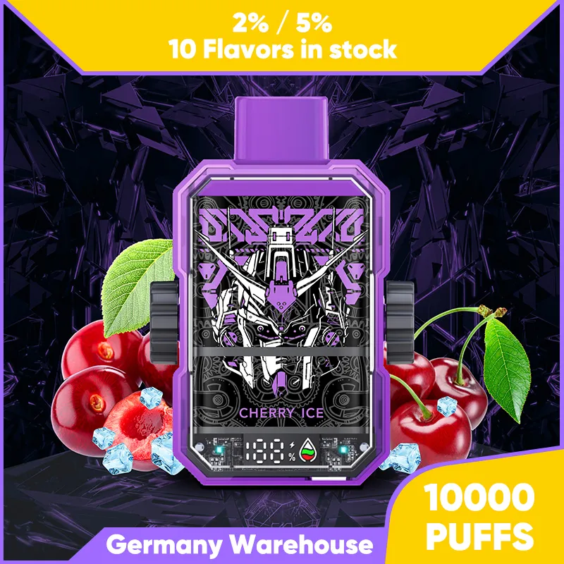 Germany warehouse 10000 puffs Electronic Cigarette Disposable pen with rechargeable 650mah Vape Pen battery and prefilled 15ml mesh coil cartridge pod