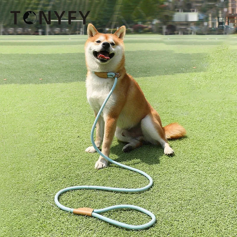 Nylon Dog Traction Rope for Medium Large Pet Dog Walking Training P Chain Collar Dog Leash Easy Control Adjustable Pet Supplies 231221