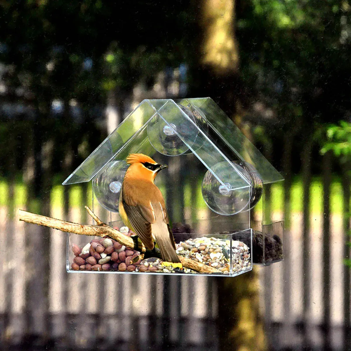 Janela Wild Bird Feeder House Tabela Transparente Cups de sucção removíveis bandeja de alimentação deslizante para pátio de jardim pátio 231221